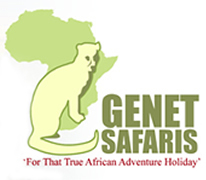 Genet tours and safaris