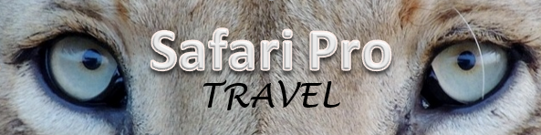 Safari Pro Travel