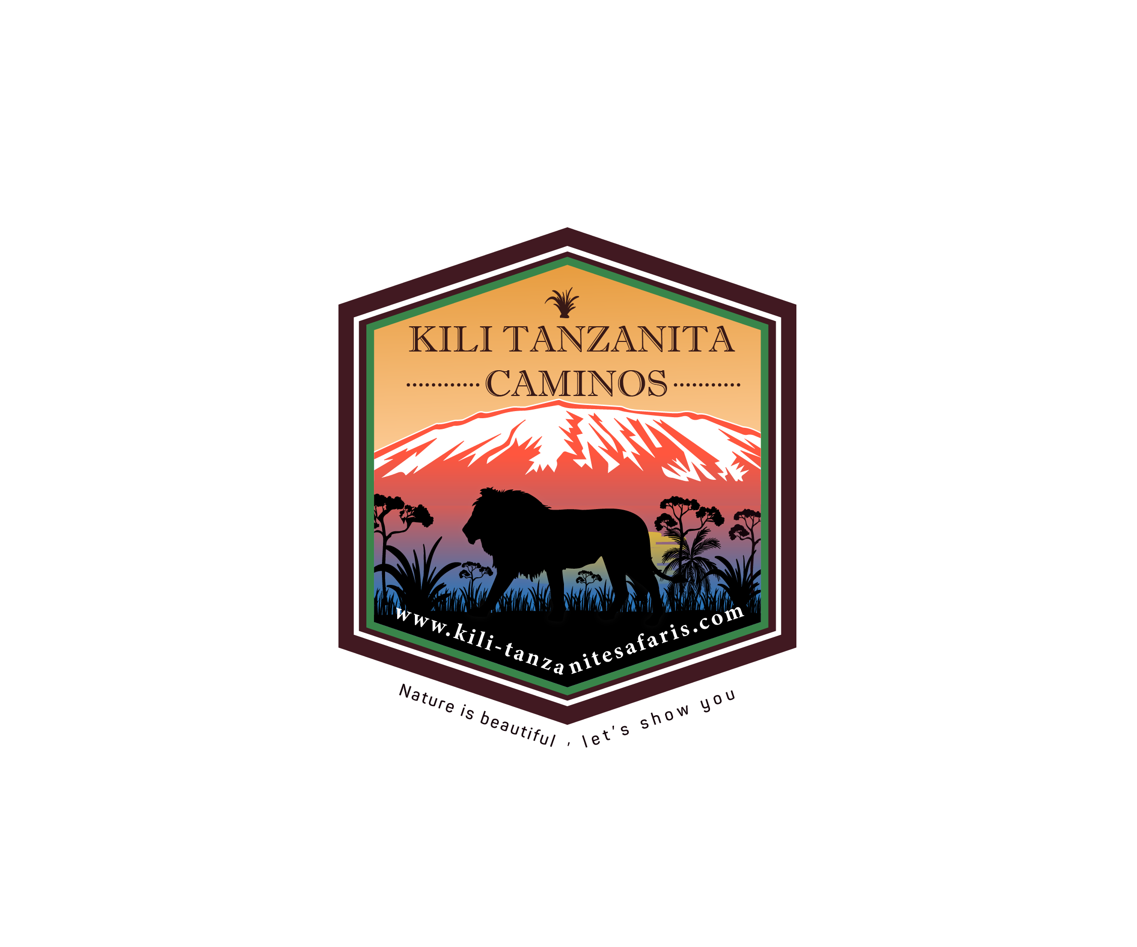 Biking tours Kilimanjaro climbing, safaris