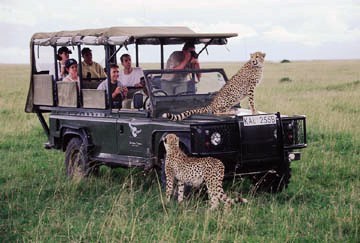 7 Days Kenya Safari Easter Getaway 2012