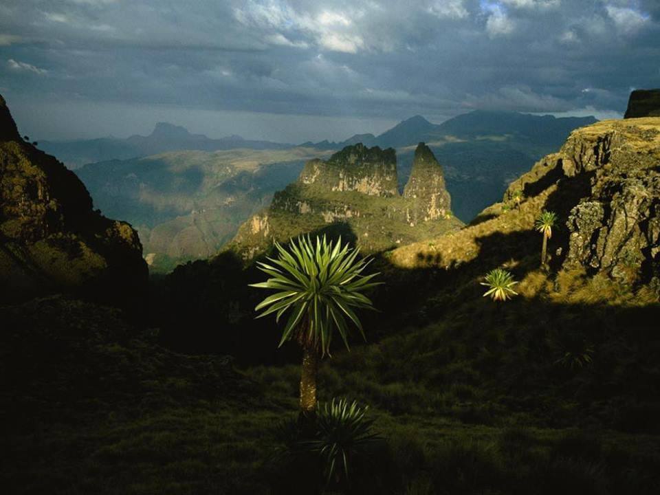 Simien Mountains Trekking - Ethiopia Trekking 