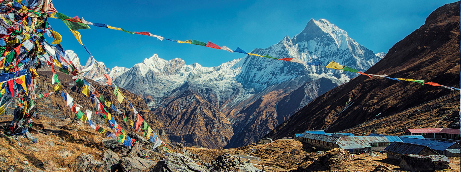 Everest Annapurna and Chitwan Tour - 19 Days