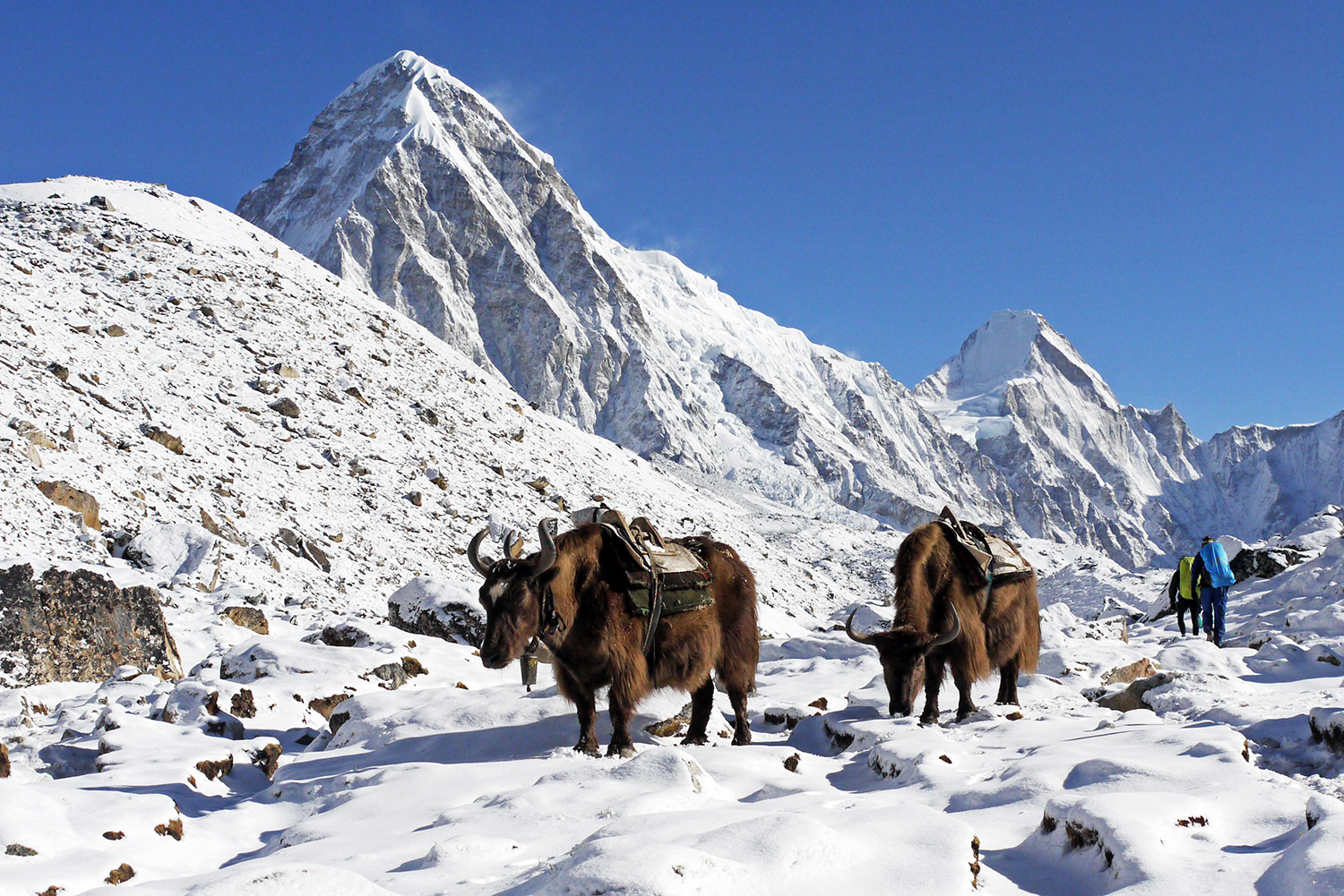 Everest Base Camp luxury trek-12 days