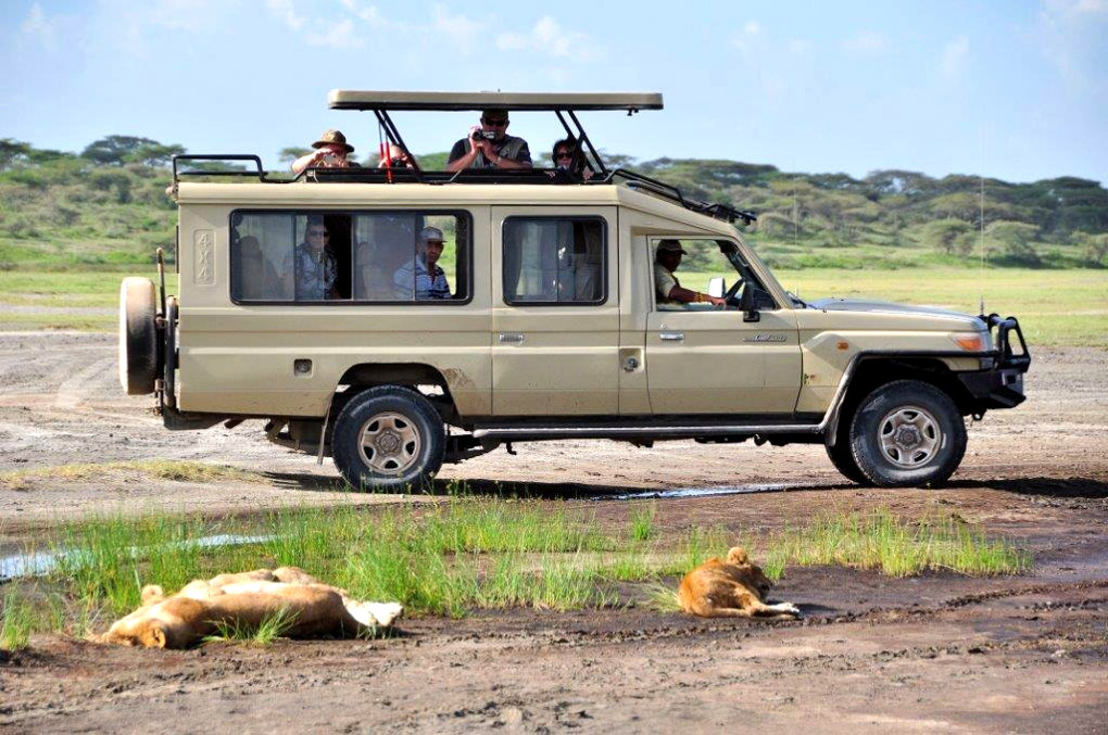 Tanzania safari booking camping tours
