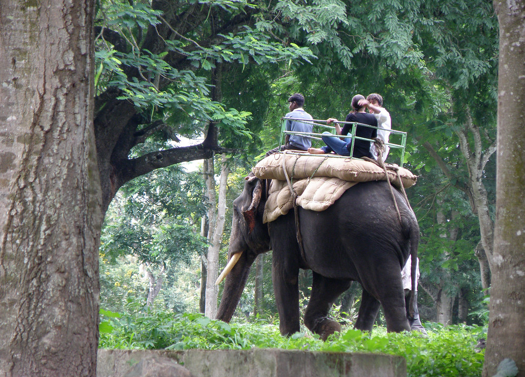 Best Coorg Tour Packages