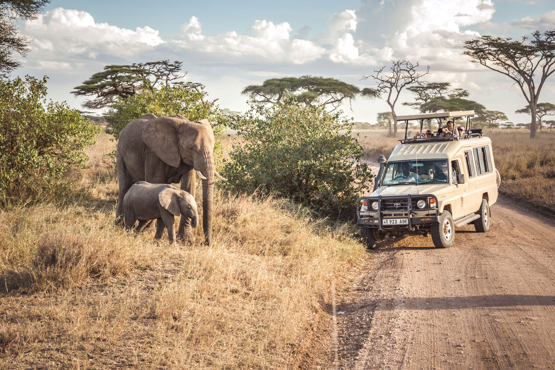 The Big 5 Tanzania Adventure Safari
