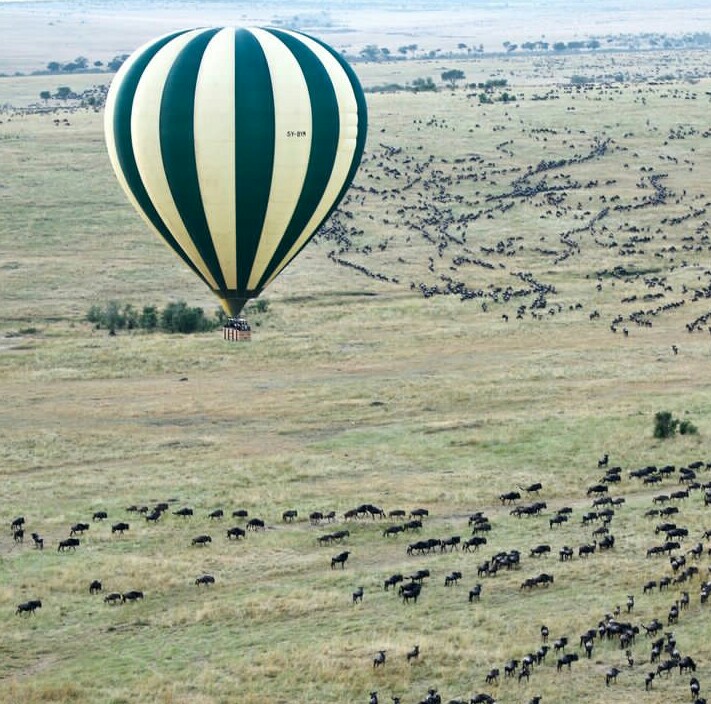 9 Days Serengeti Migration