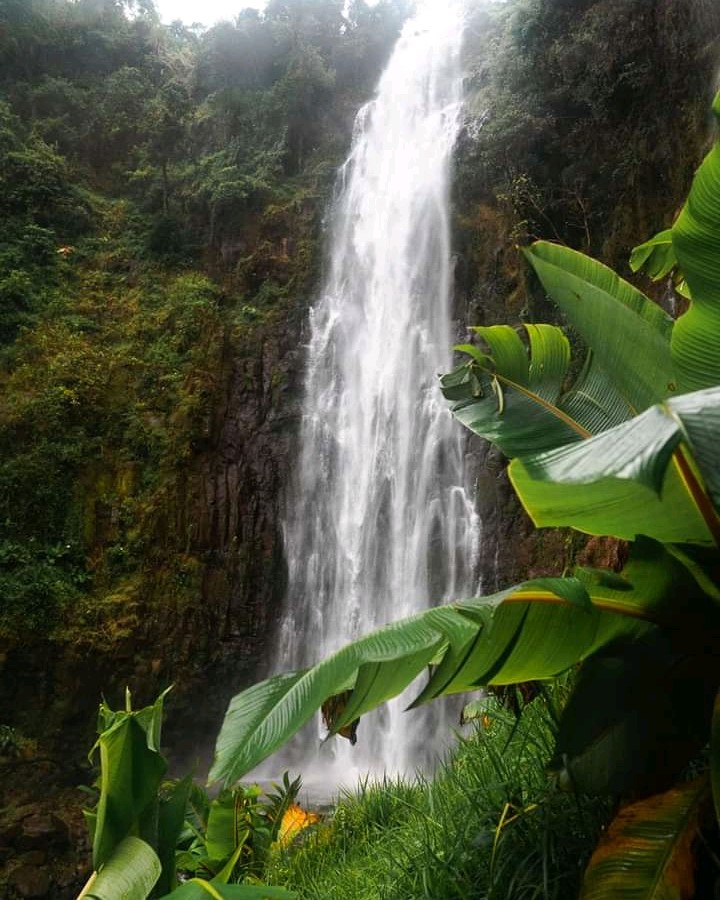 Marangu Waterfalls Day Trip