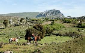 Bale Mountain Trekking Ethiopia Tour