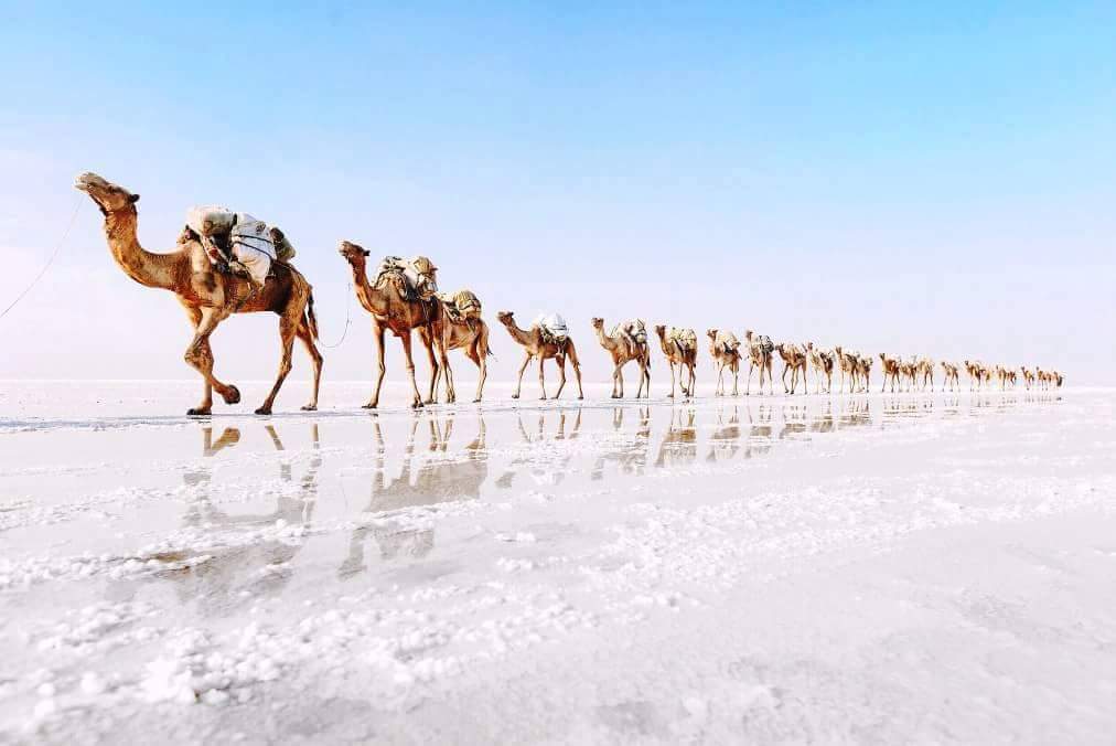 Danakil Depression Tour from Addis Ababa