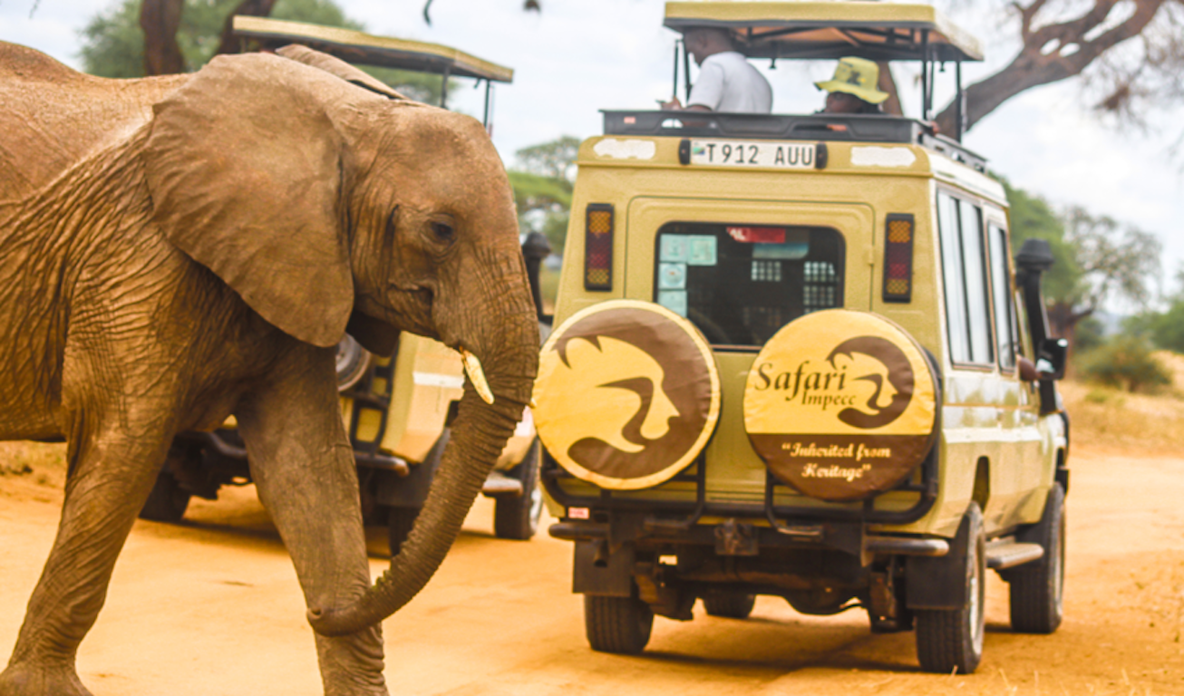 4 Days highlight of northern Tanzania safari