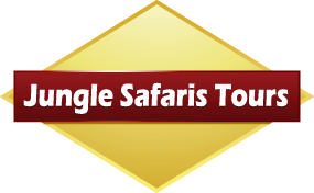 JUNGLE SAFARIS TOURS