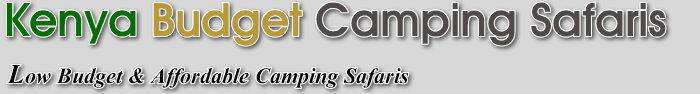 Kenya Budget Camping Safaris