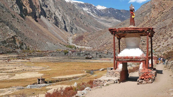 Trekking in Limi valley