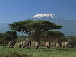 Kilimanjaro climbing deals and safaris