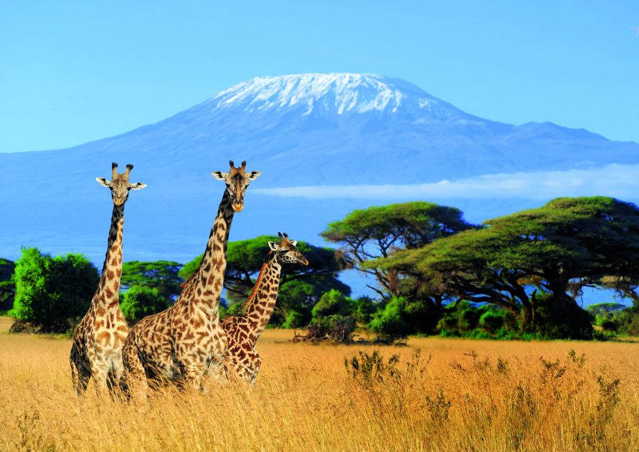 Kilimanjaro climbing discount travel deals