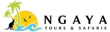 TOUR OPERATOR