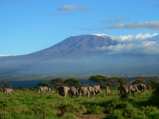 Climbing Mount Kilimanjaro offers