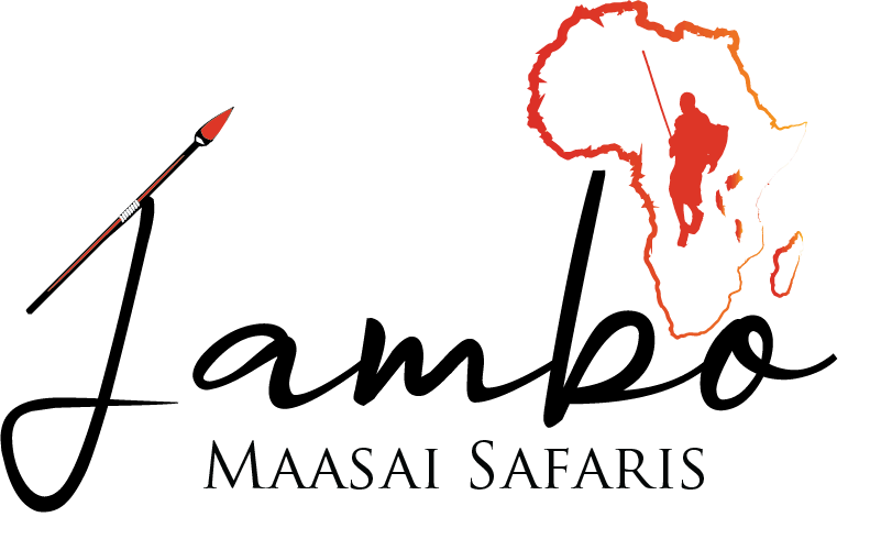 JAMBO MAASAI TOURS AND SAFARI