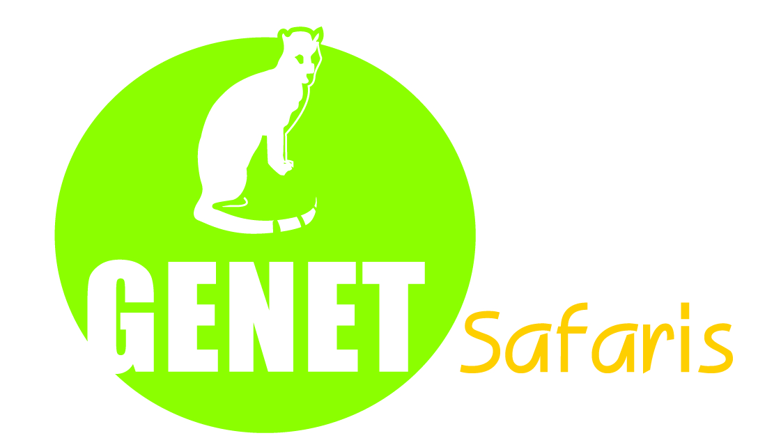 Kenya and Tanzania safaris