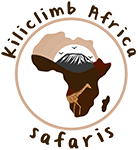 Safari and Kilimanjaro hikes in Tanzania