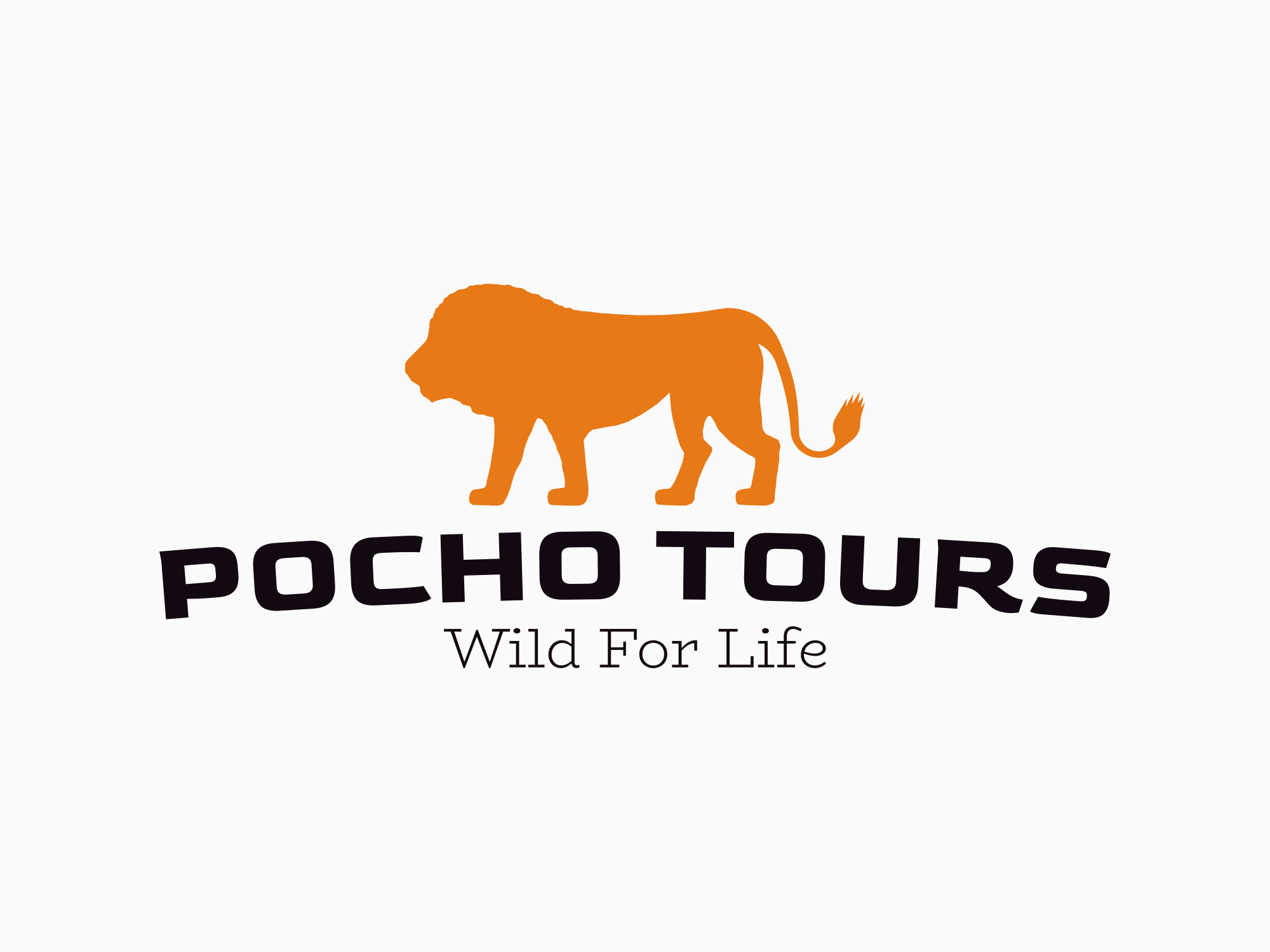 Tour Operator