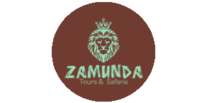 Tanzania Safari Tours