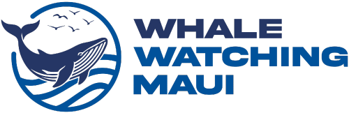 Whale Watching Maui