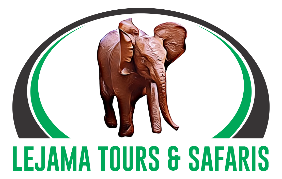 Nairobi National park day Tour