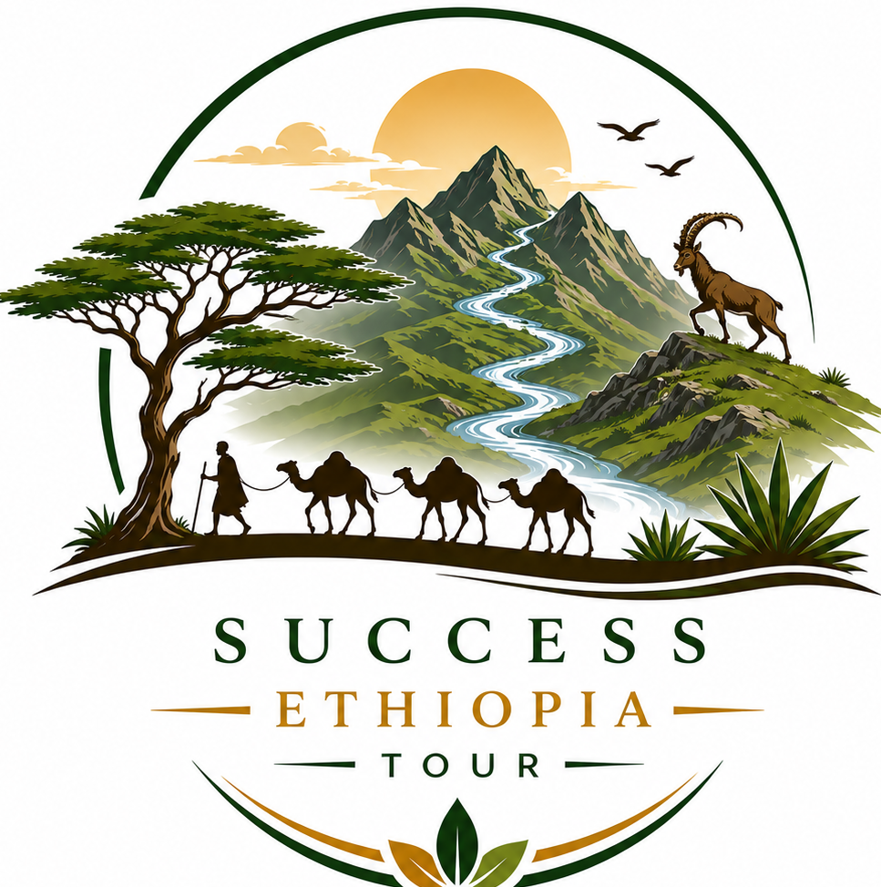 Tour Operator