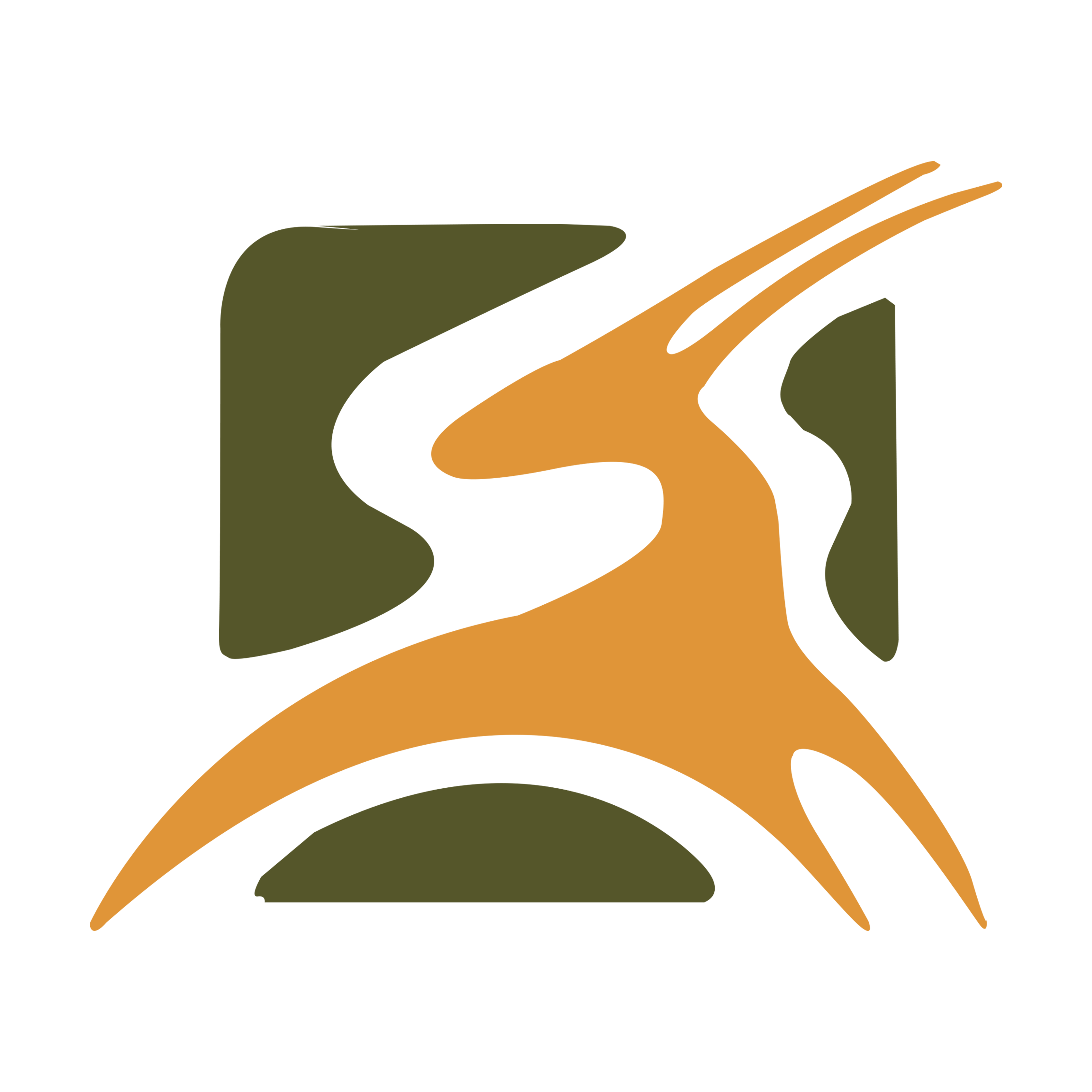 Tanzania Safari Experience