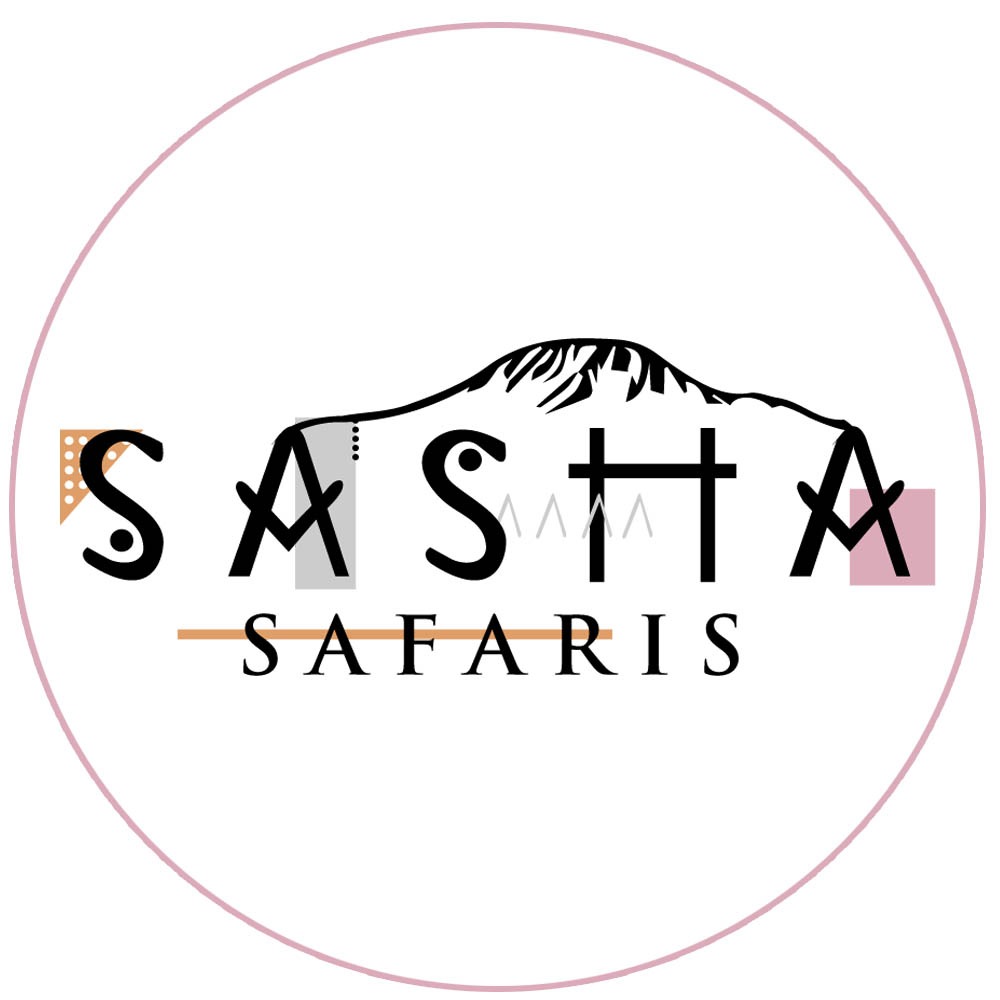 Sasha Safaris