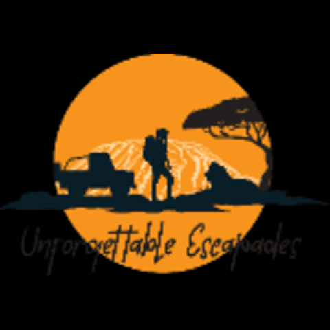 Unforgettable Escapades