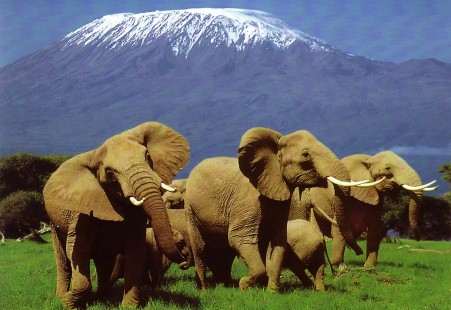 Mount kilimanjaro climbing trip, Kili trek adventu