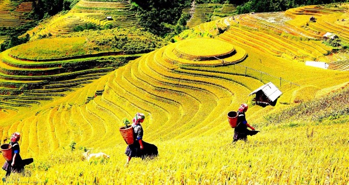 Best of Northern Vietnam 6 days by Bus Itinerary