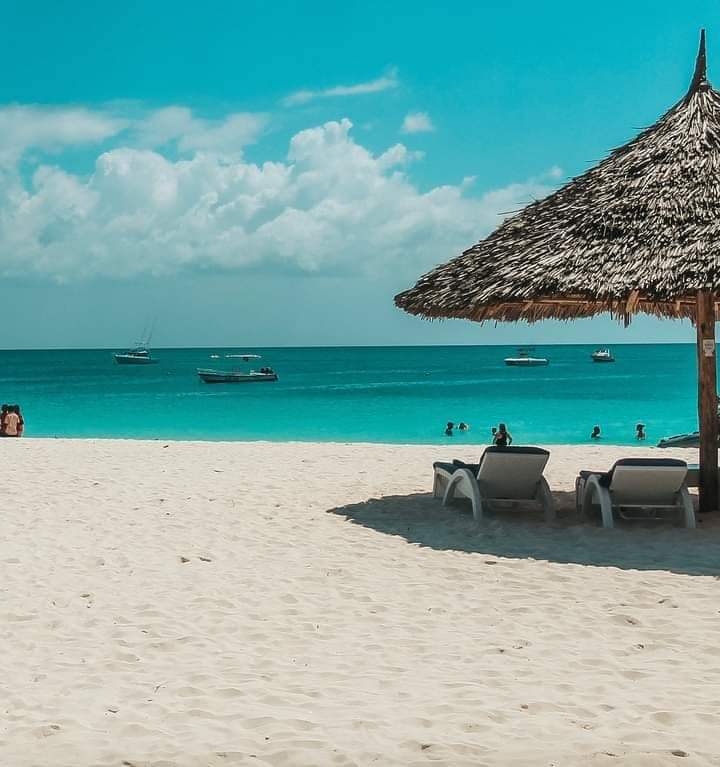 Tanzania safari & Zanzibar Beach