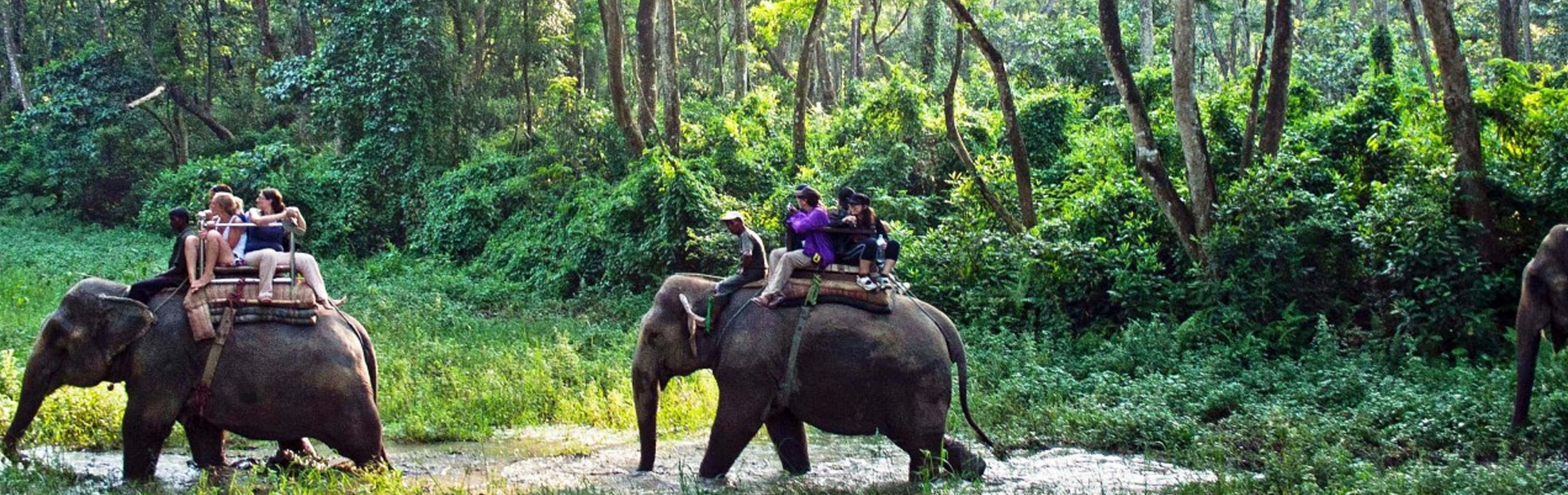 Chitwan National Park Tour - 3 Days