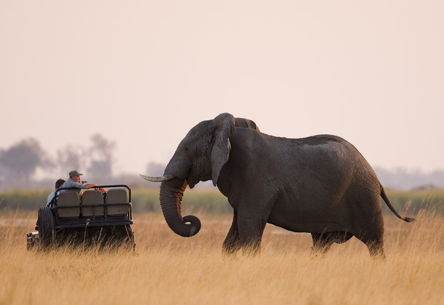 8 Days | Wild Luxury Cruise Safari | Tanzania