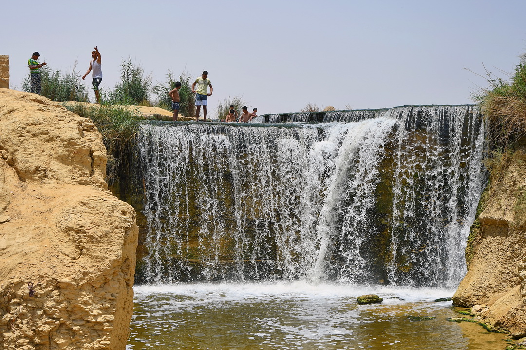 Full-Day Trip to El-Fayoum Oasis & Wadi EL-Hitan