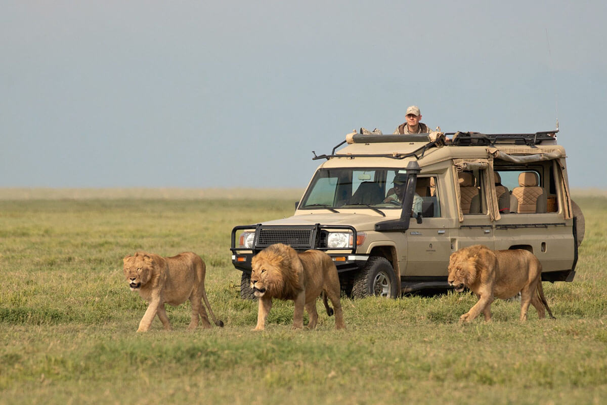 15 Days Kenya Tanzania Victoria Falls Holiday