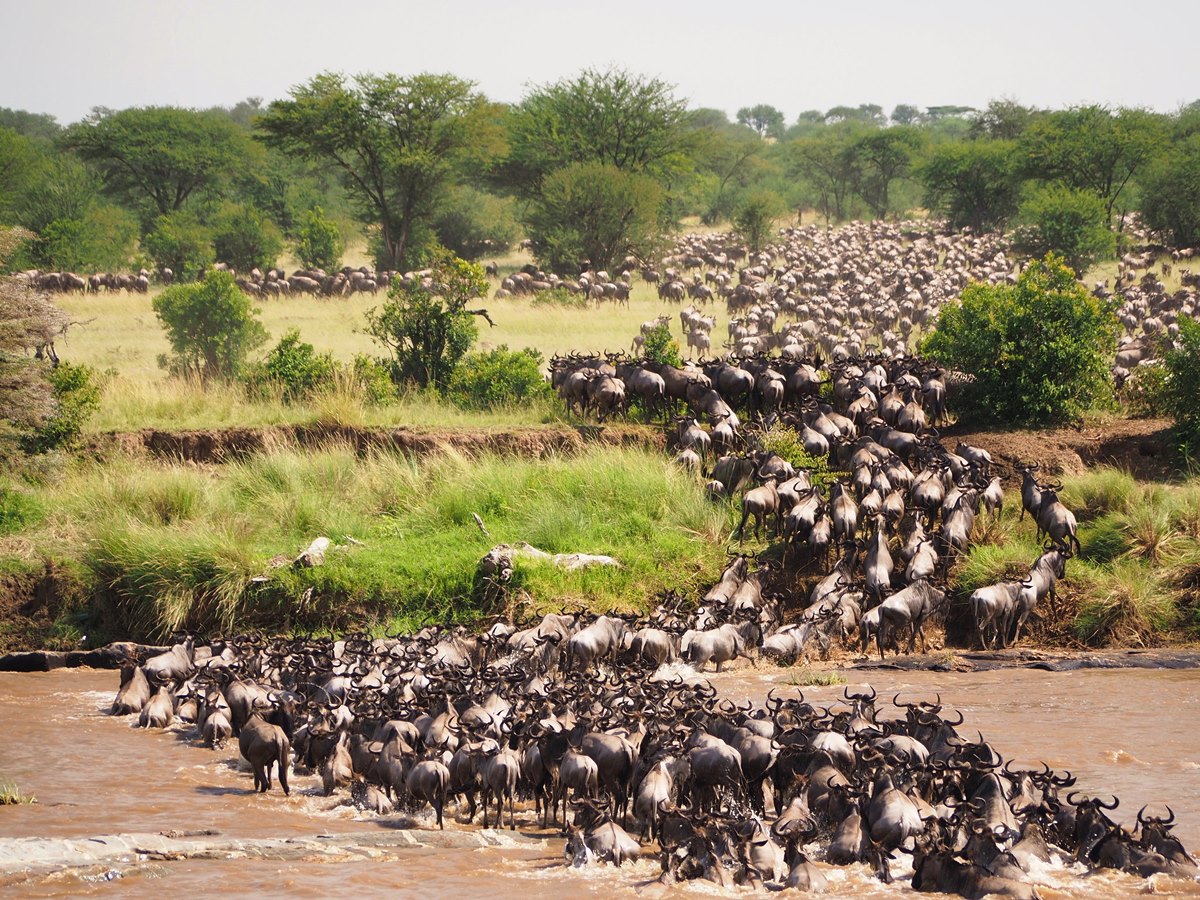 5 DAYS KENYA SAFARI HOLIDAY