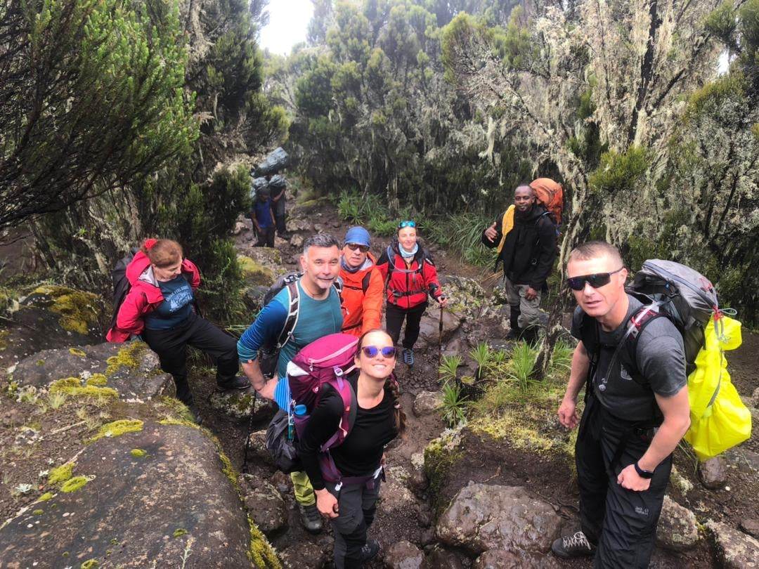 Private Kilimanjaro trekking 8 days Lemosho