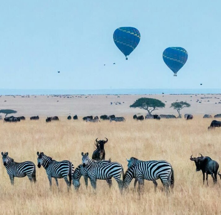 9 Days Great Migration Tanzania Safari