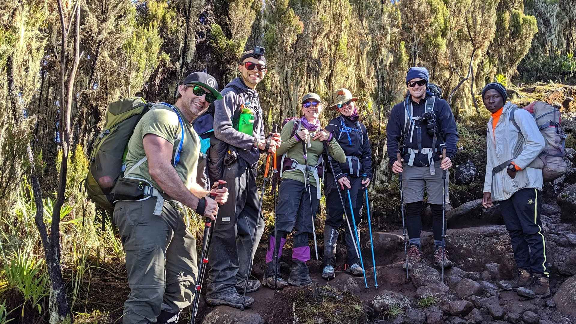 Kilimanjaro hiking day tour