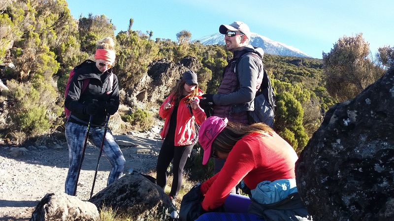 Mount Kilimanjaro tours Rongai trail