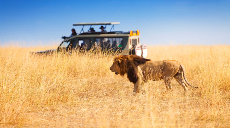 5 Days Tanzania Safari