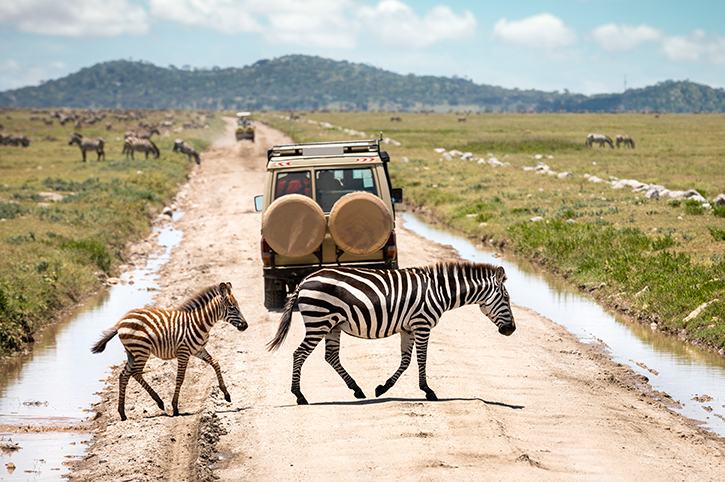 7 Days Tanzania Safari