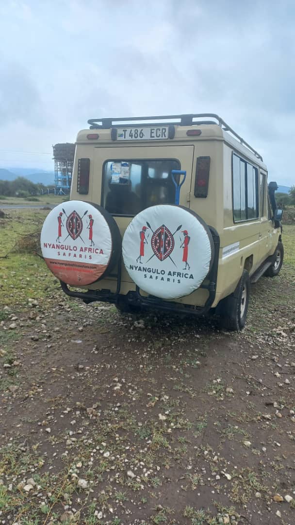 8 days Tanzania and kenya safari