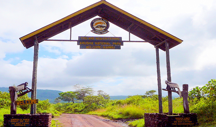 The Best of Serengeti Ngorongoro Safari-Tanzania