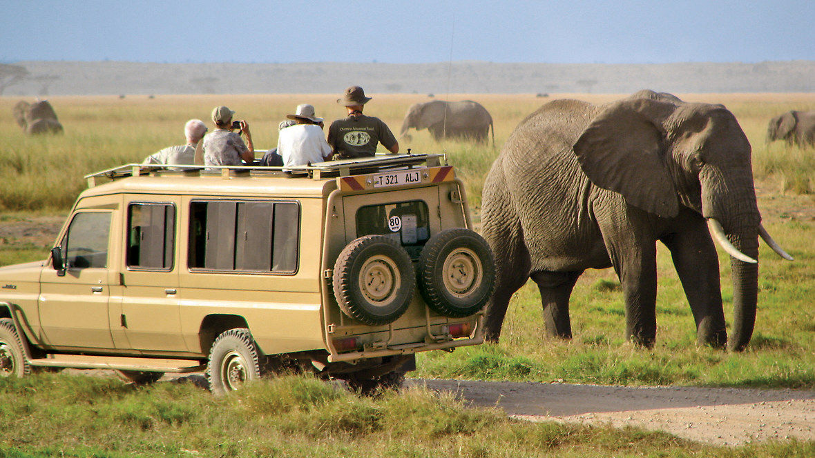 Tanzania Family Safari Tour